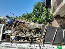 Best Moving and Downsizing Cleanouts  in Lula, GA